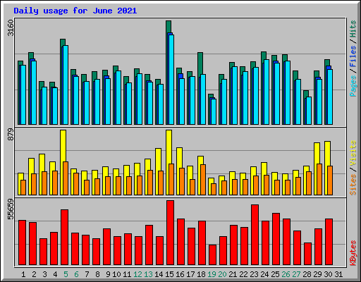 Daily usage for June 2021