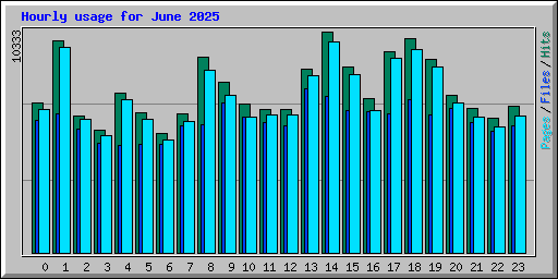 Hourly usage for June 2025